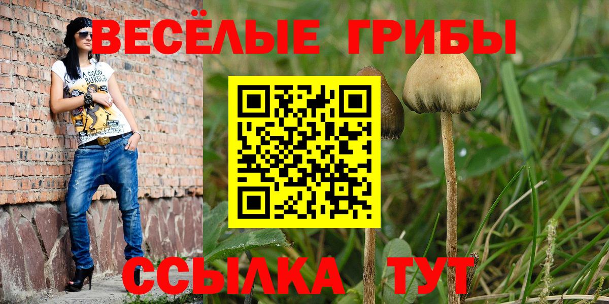Галлюциногенные грибы мухоморы Саратов