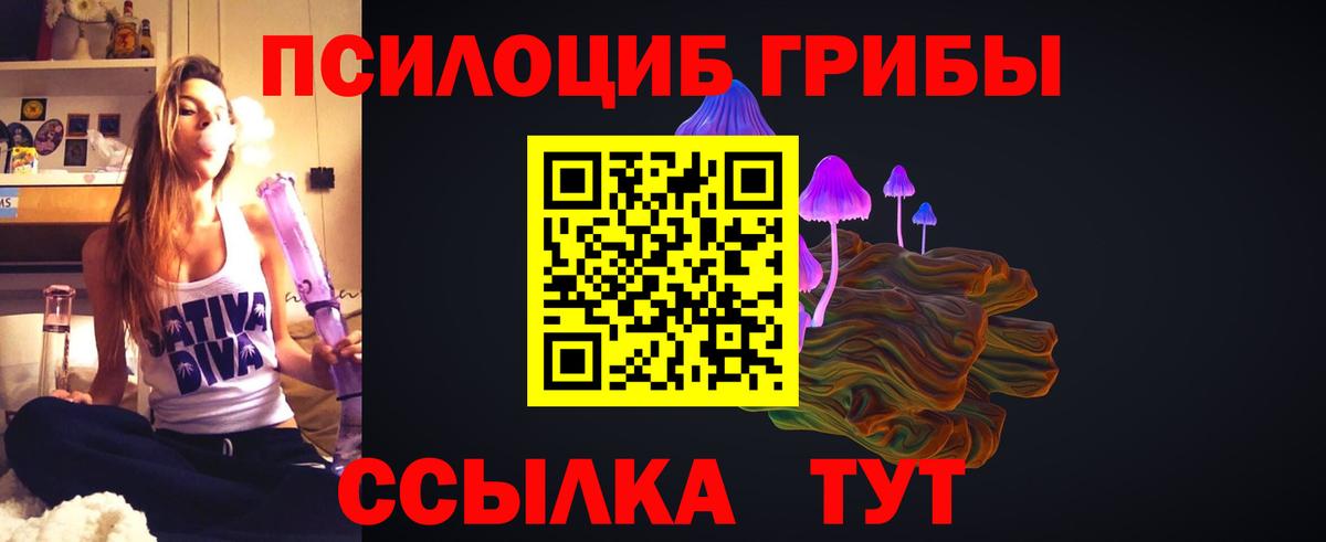 Саратов  Галлюциногенные грибы Magic Shrooms  Вход с VPN 
